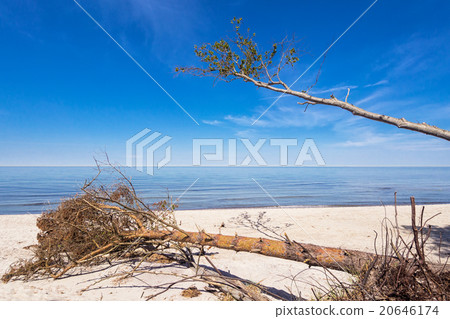 Baltic Sea Baltic Sea 20646174