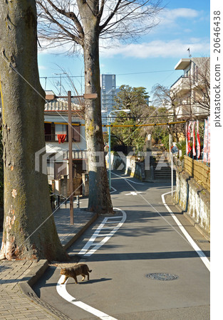 走Moyake Kaya：Ogakizaka 20646438