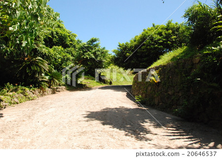 熱帶道路(石垣島/沖繩縣石垣市伊巴魯) 熱帶道路(石垣島/沖繩縣石垣市伊巴魯) 20646537