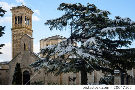 large pine tree near church after a heavy snowfall large pine tree near church after a heavy snowfall 20647163