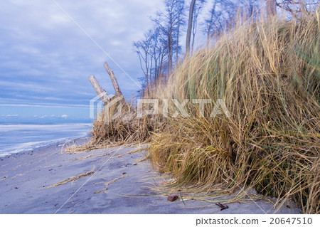 Baltic Sea 20647510