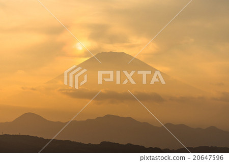 富士金金 富士金金 20647596