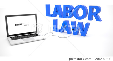Labor Law 20648087