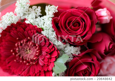 紅玫瑰與非洲菊花束鮮花禮物 紅玫瑰與非洲菊花束鮮花禮物 20648642