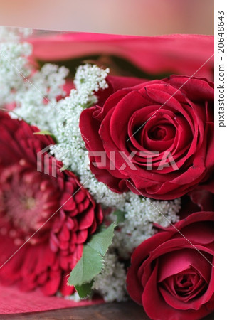 紅玫瑰與非洲菊花束鮮花禮物 紅玫瑰與非洲菊花束鮮花禮物 20648643
