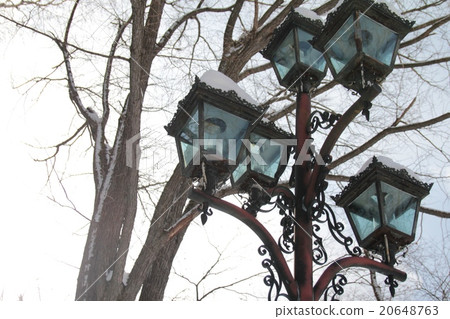 Gas lamps in winter on the grounds of the Hokkaido Prefectural Government Office 20648763
