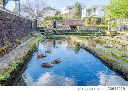 Mishima village algae village 20648929