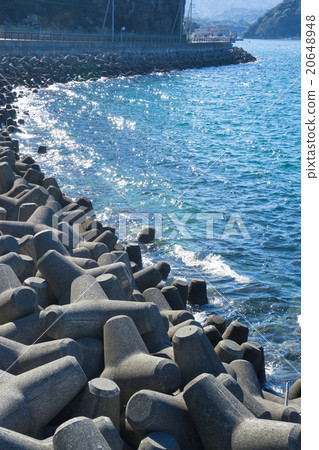四足動物的安裝場景 四足動物的安裝場景 20648948