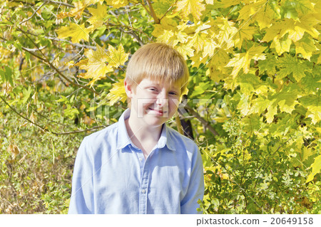 Cute boy in sunlight 20649158