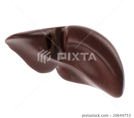 Human internal organs. Liver isolated on white 20649753