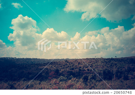 Horizon with mountains Horizon with mountains 20650748