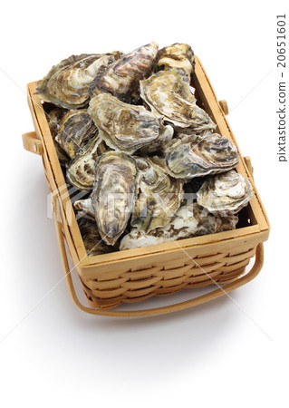 生蠔 生蠔 20651601