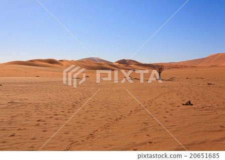 Desert panorama 20651685