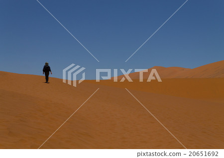 Sossusvlei 20651692