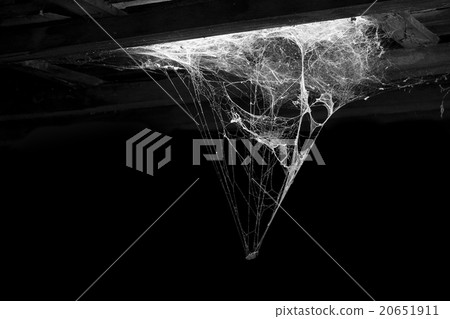 cobweb or spider web isolated on black 20651911