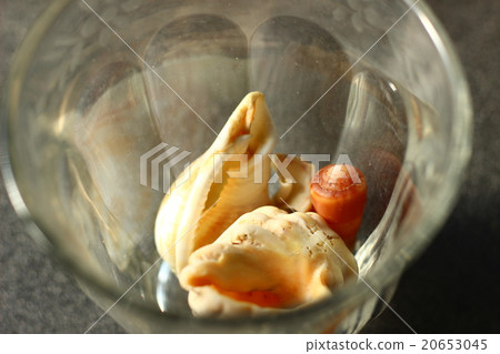 Scallops in glass 20653045