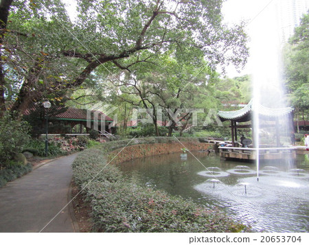 香港九龍公園 20653704