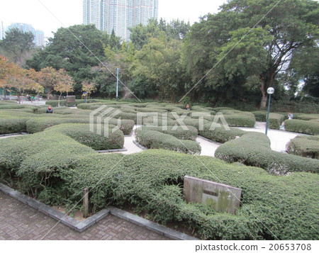Hong Kong Kowloon Park Hong Kong Kowloon Park 20653708