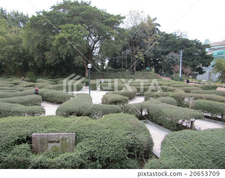 Hong Kong Kowloon Park 20653709