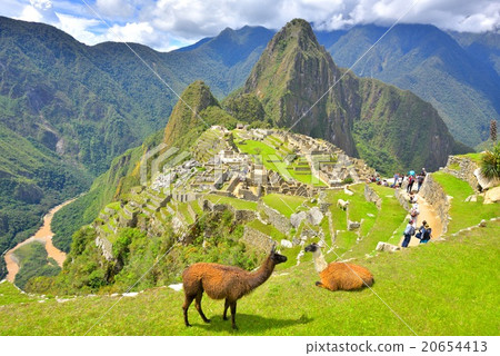 馬丘比丘和兩隻駱駝 20654413