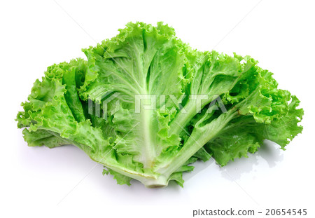 fresh green lettuce leaves isolated on white 20654545
