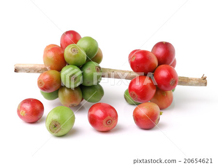 coffee beans isolated on white background 20654621