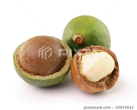 macadamia nuts on white background macadamia nuts on white background 20654642