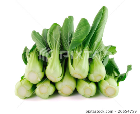 Bok choy (chinese cabbage) isolated  20654759