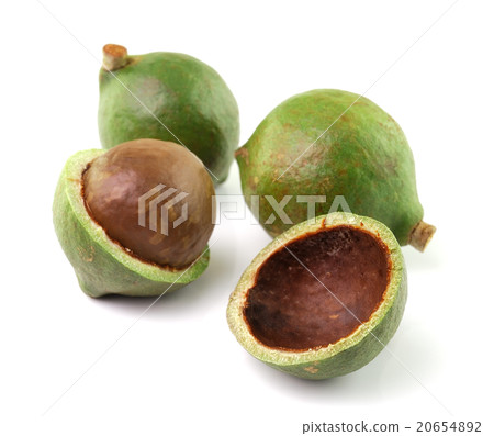 macadamia nuts on white background 20654892