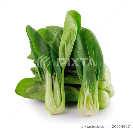 Bok choy (chinese cabbage) isolated  20654907