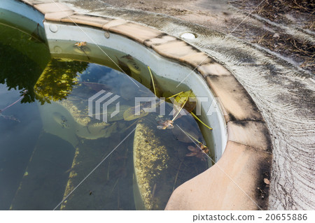 Abandoned and unclean swimming pool Abandoned and unclean swimming pool 20655886