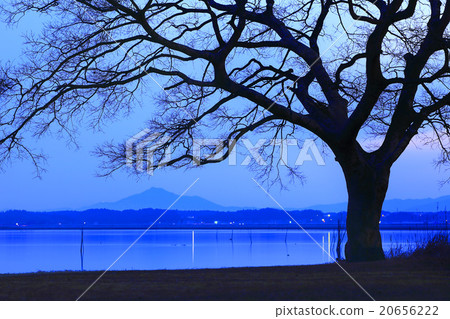 Dokumonuma 20656222