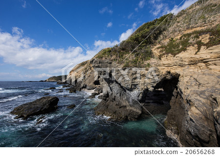 Jogashima島的赤羽海岸 20656268