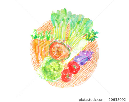 Vegetable hand-painted watercolor Pesticide organic cultivation green yellow vegetable inserts spinach eggplant carrots spring cabbage 20658092