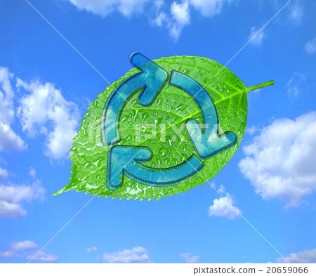 Recycling above young leaves Recycling above young leaves 20659066