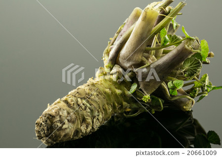 raw wasabi raw wasabi 20661009