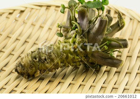 raw wasabi raw wasabi 20661012