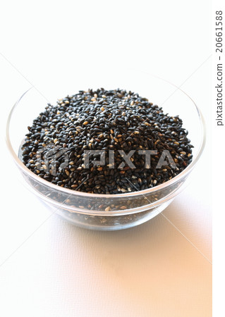 Black sesame 20661588