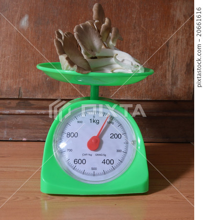 Indian oyster mushroom on weighing scale Indian oyster mushroom on weighing scale 20661616