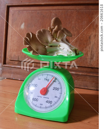 Indian oyster mushroom on weighing scale 20661618