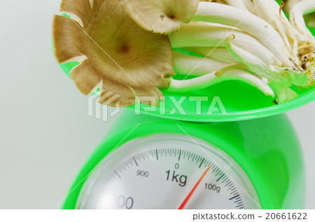 Indian oyster mushroom on weighing scale 20661622