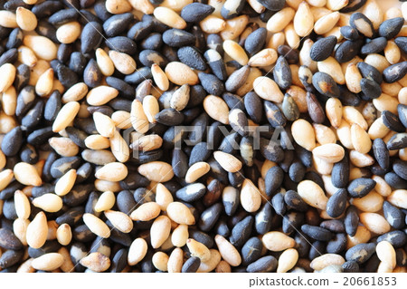 Sesame  20661853