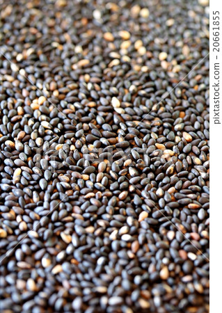 Black sesame 20661855