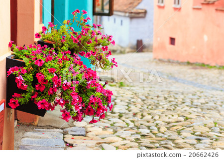 Medieval street view in Sighisoara  20662426