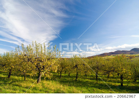 Rolling countryside 20662967