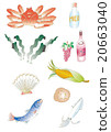 Food ingredients in Hokkaido 20663040