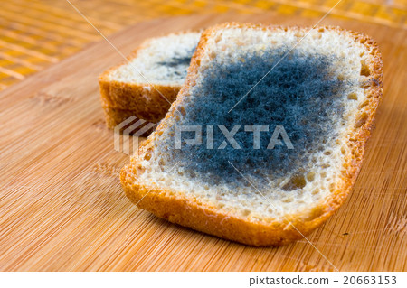 Moldy bread. 20663153