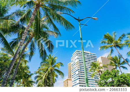 [Hawaii] Waikiki/Kalakaua Avenue 20663333
