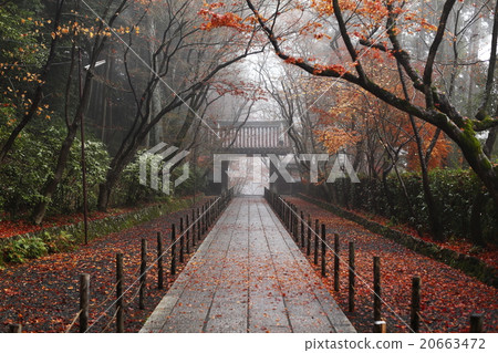 Komyoji Komyoji 20663472