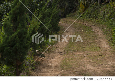 Country muddy road on the hillside Country muddy road on the hillside 20663635